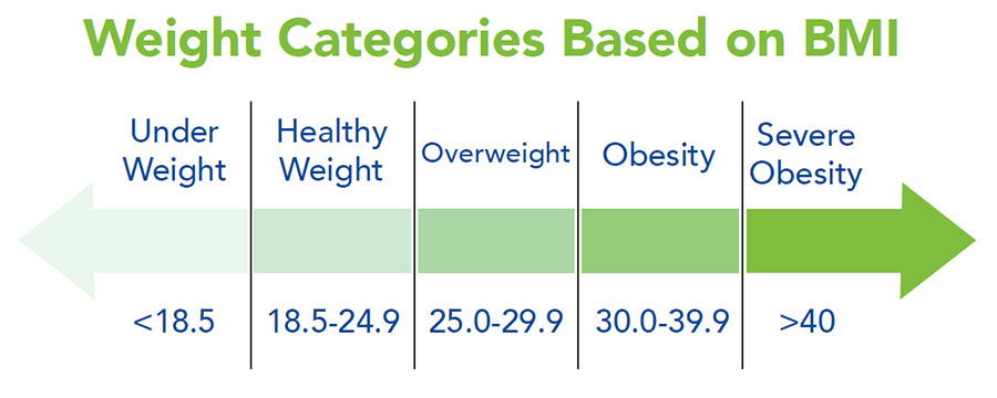BMI weight categories chart